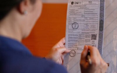 Como Funciona o Apostilamento de Haia em Traduções Juramentadas