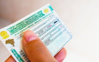 Quais Documentos Devem Ser Certificados com a Apostille de Haia Para Uso Internacional?