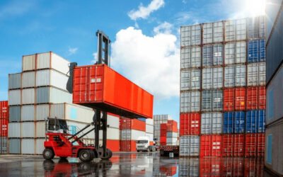Tradução de Documentos para Exportação: Certificados, Licenças e Regulamentações