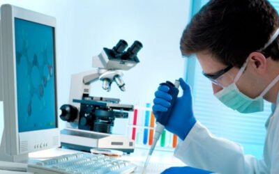 Editoração Multilíngue de Relatórios Técnicos e Científicos