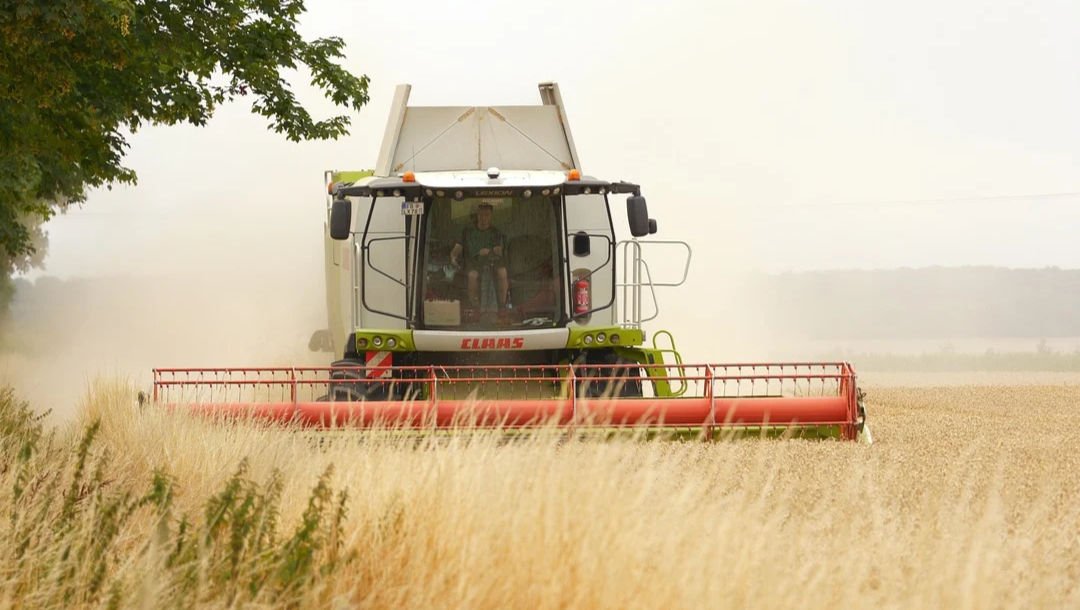 Eko’s Traduções Eko's Traduções