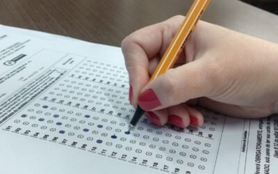 Tradução Juramentada Para Concursos Públicos em Países de Língua Francesa