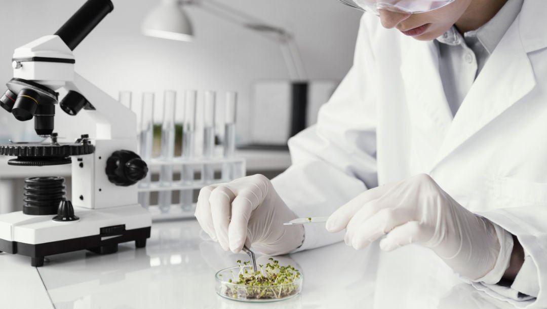 Tradução Técnica Para o Setor de Biotecnologia em Francês e Alemão Tradução Técnica Para o Setor de Biotecnologia em Francês e Alemão