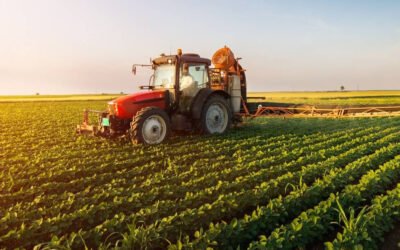 Tradução Técnica de Documentos Agrícolas Para Parcerias na Argentina