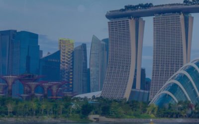 Tradução Técnica de Manual de Software Para Empresas de Tecnologia em Singapura