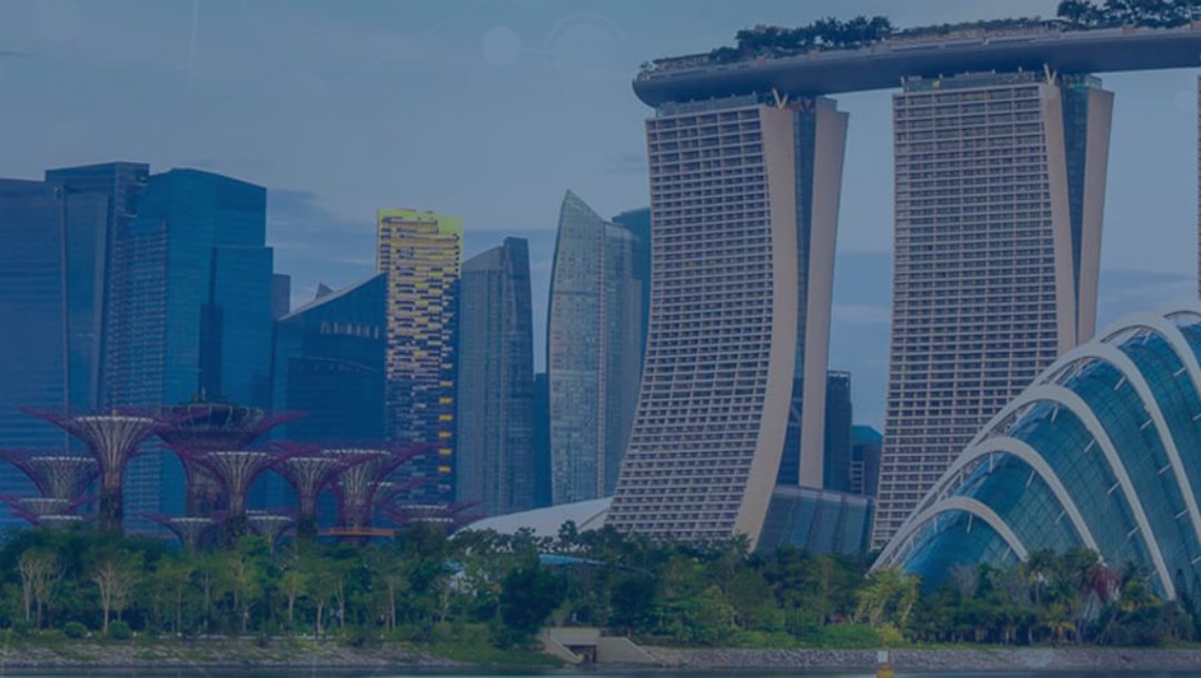 Tradução Técnica de Manual de Software Para Empresas de Tecnologia em Singapura