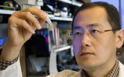 Tradução Técnica de Relatórios de Pesquisa Científica Para Submissão no Japão