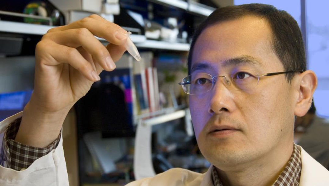 Tradução Técnica de Relatórios de Pesquisa Científica Para Submissão no Japão