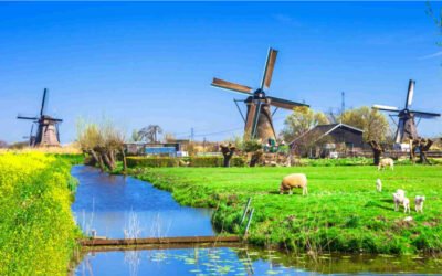 Tradução Técnica de Documentos Climáticos Para Projetos de Sustentabilidade na Holanda