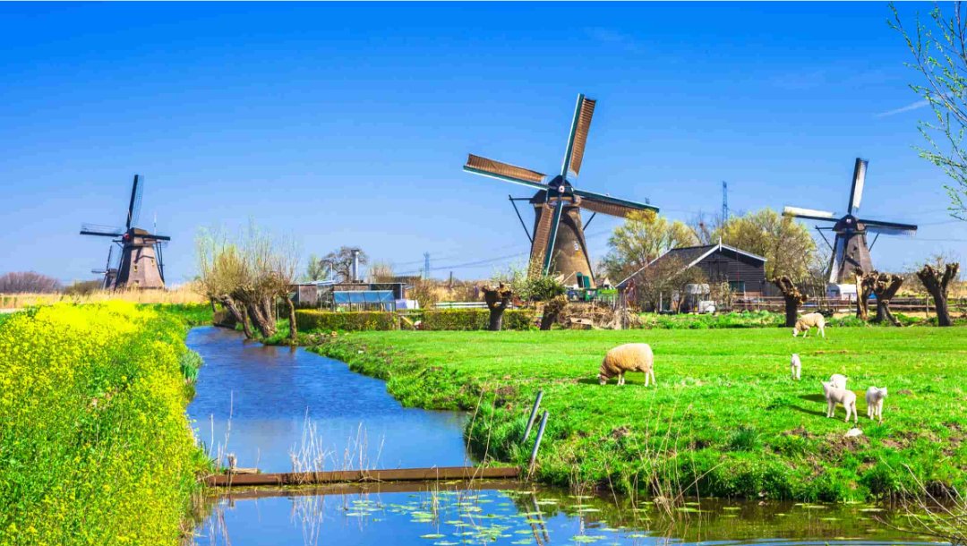 Tradução Técnica de Documentos Climáticos Para Projetos de Sustentabilidade na Holanda